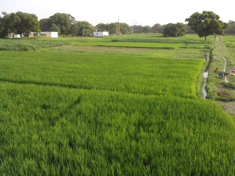 Farmhouse Land, Pali for sale in Pali, Govardhan