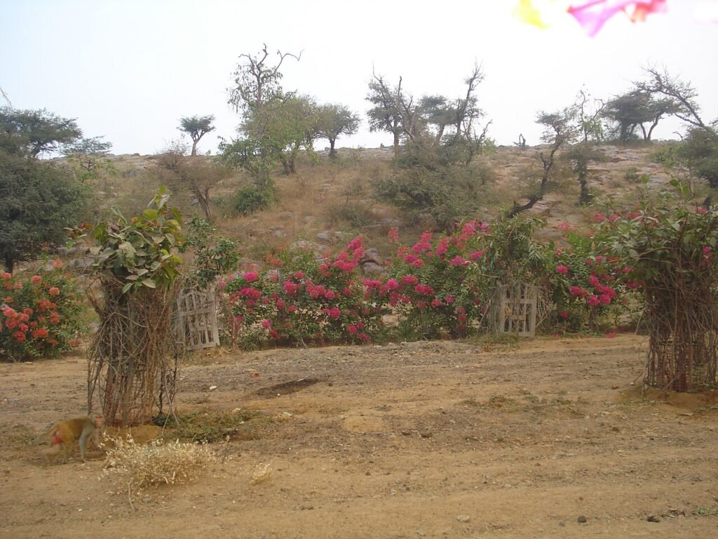 Plot near Radha Kund, Govardhan for sale in Radha Kund Road, Govardhan